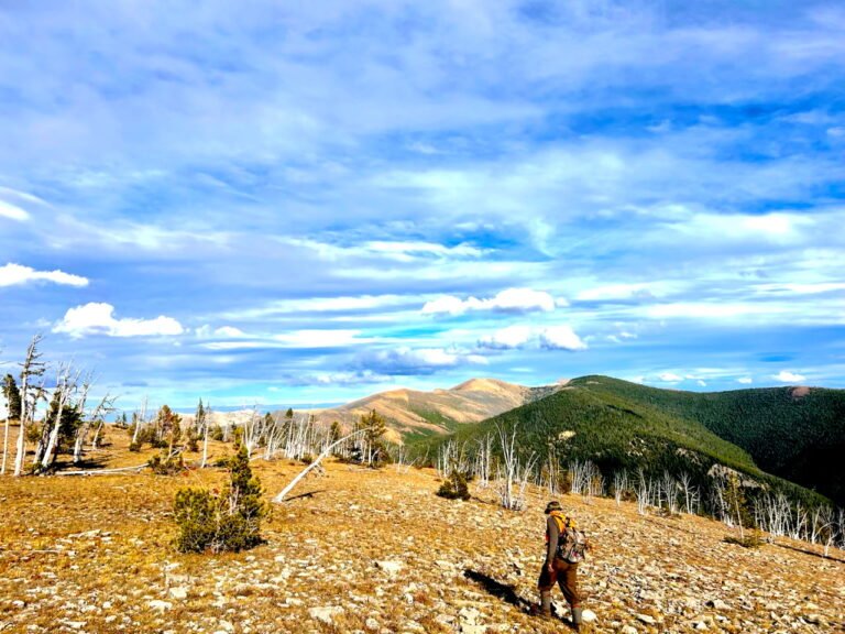Looking toward Continental Divide Trail
