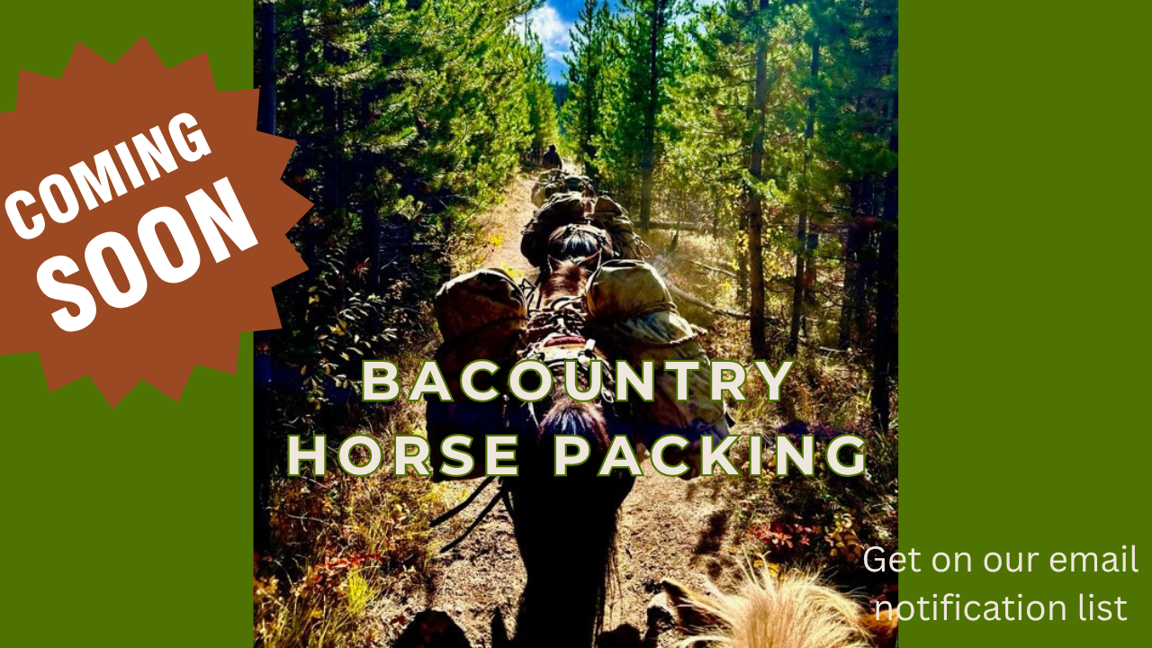 Backcountry Horse Packing